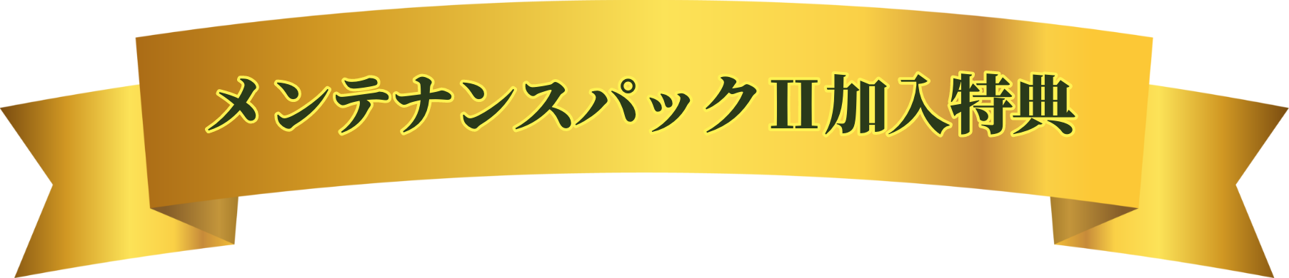 メンテナンスパックⅡ加入特典